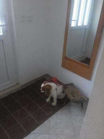 Holiday Home Gandalj_2 洛克瓦罗戈兹尼察 外观 照片